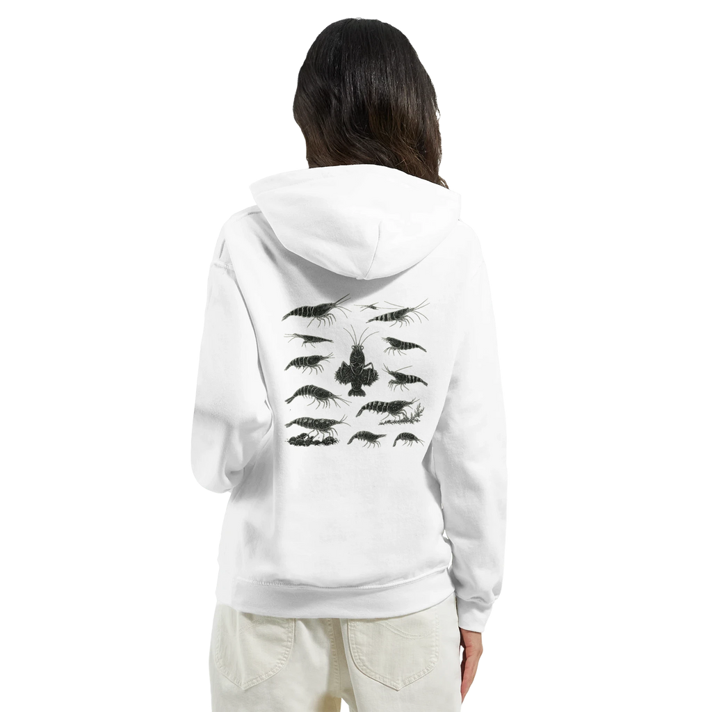 45386afd-96f6-4947-ab7b-d417bf5a26f9