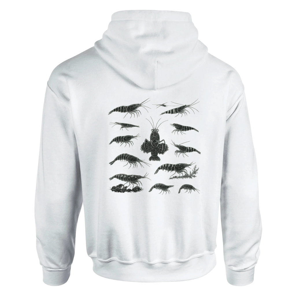 47bf0909-2c42-47ae-8e55-ba3a2381554d