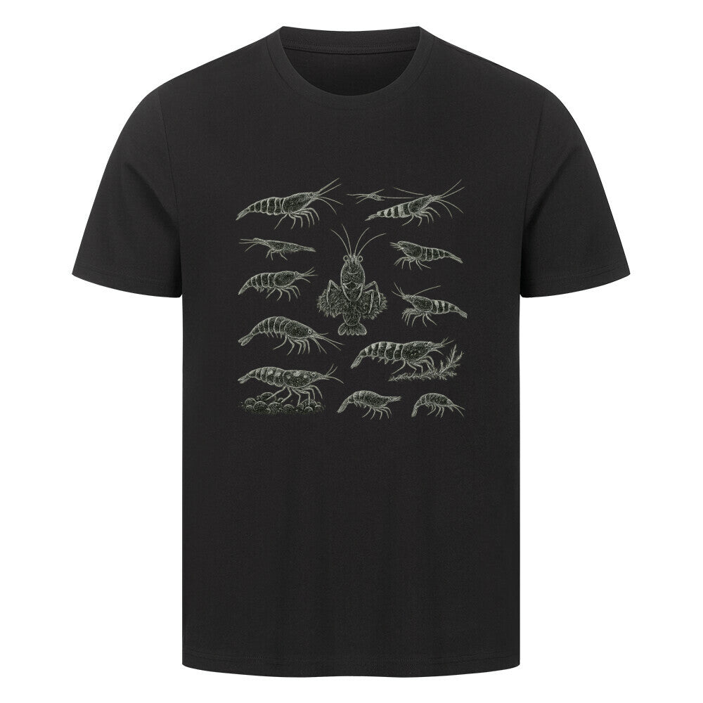 Shrimp Species Study – Shirt - Shrimplab