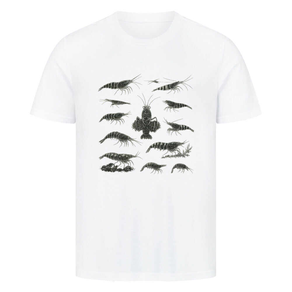 Shrimp Species Study – Shirt - Shrimplab