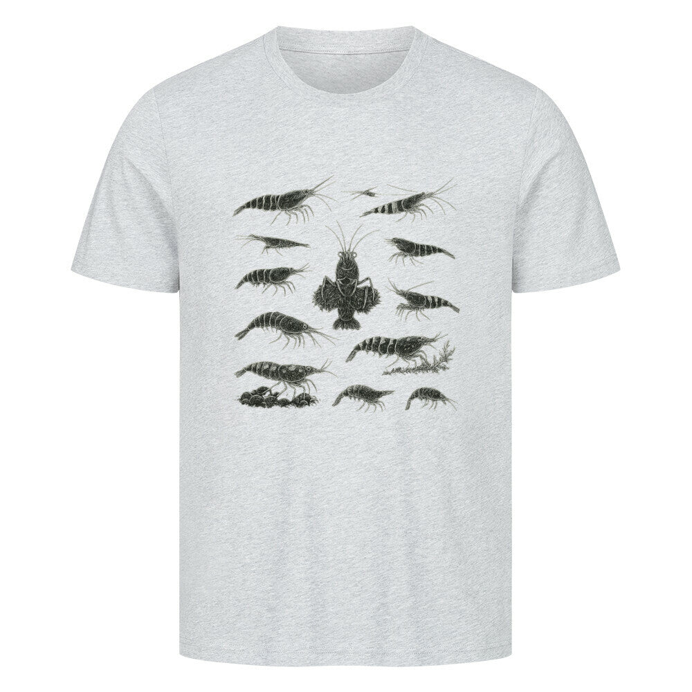 Shrimp Species Study – Shirt - Shrimplab