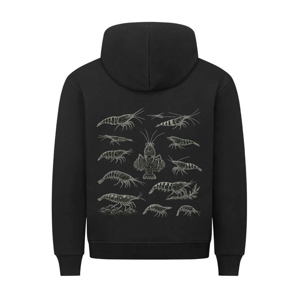 Shrimp Species Study – Hoodie - Shrimplab