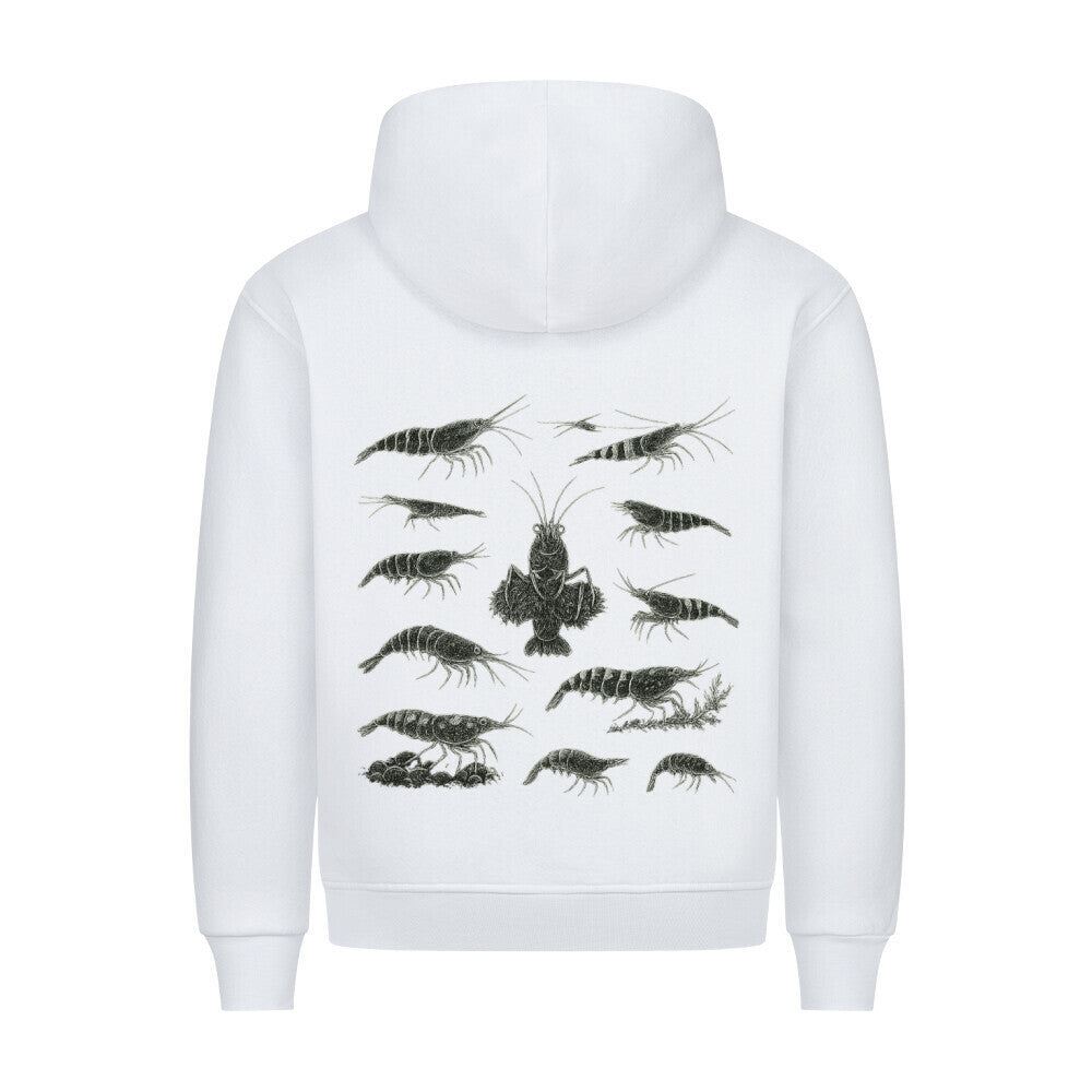 Shrimp Species Study – Hoodie - Shrimplab