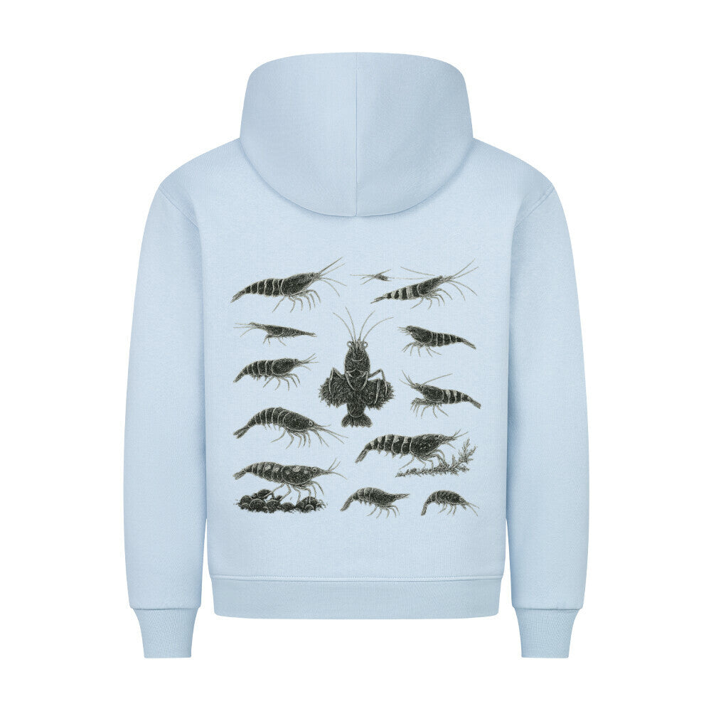 Shrimp Species Study – Hoodie - Shrimplab