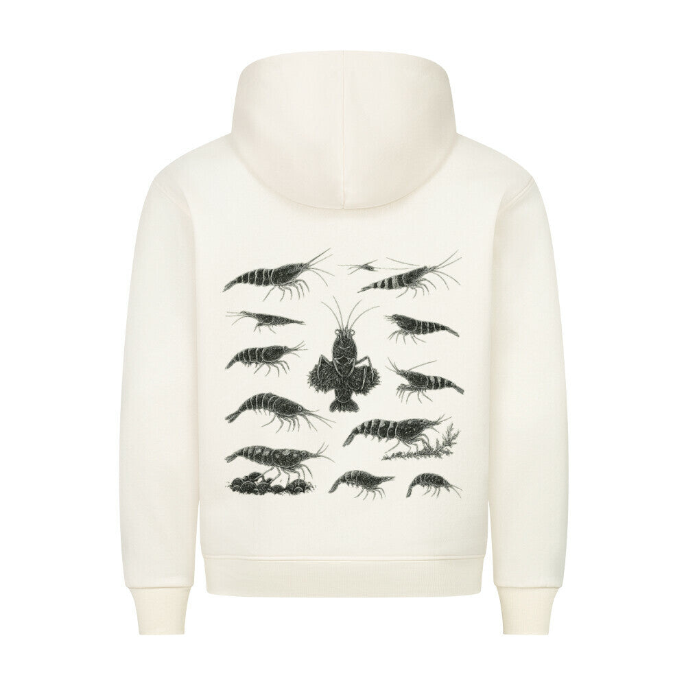 Shrimp Species Study – Hoodie - Shrimplab