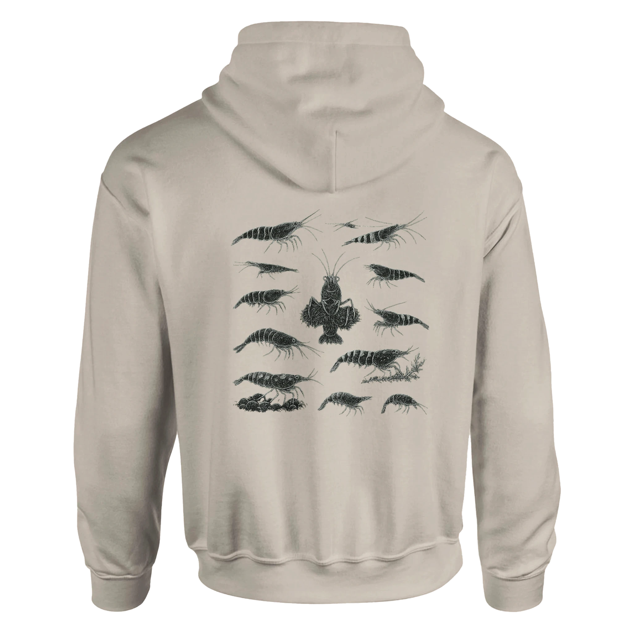 9c13d80c-5ee4-4816-9c53-b6a6a8fac85c