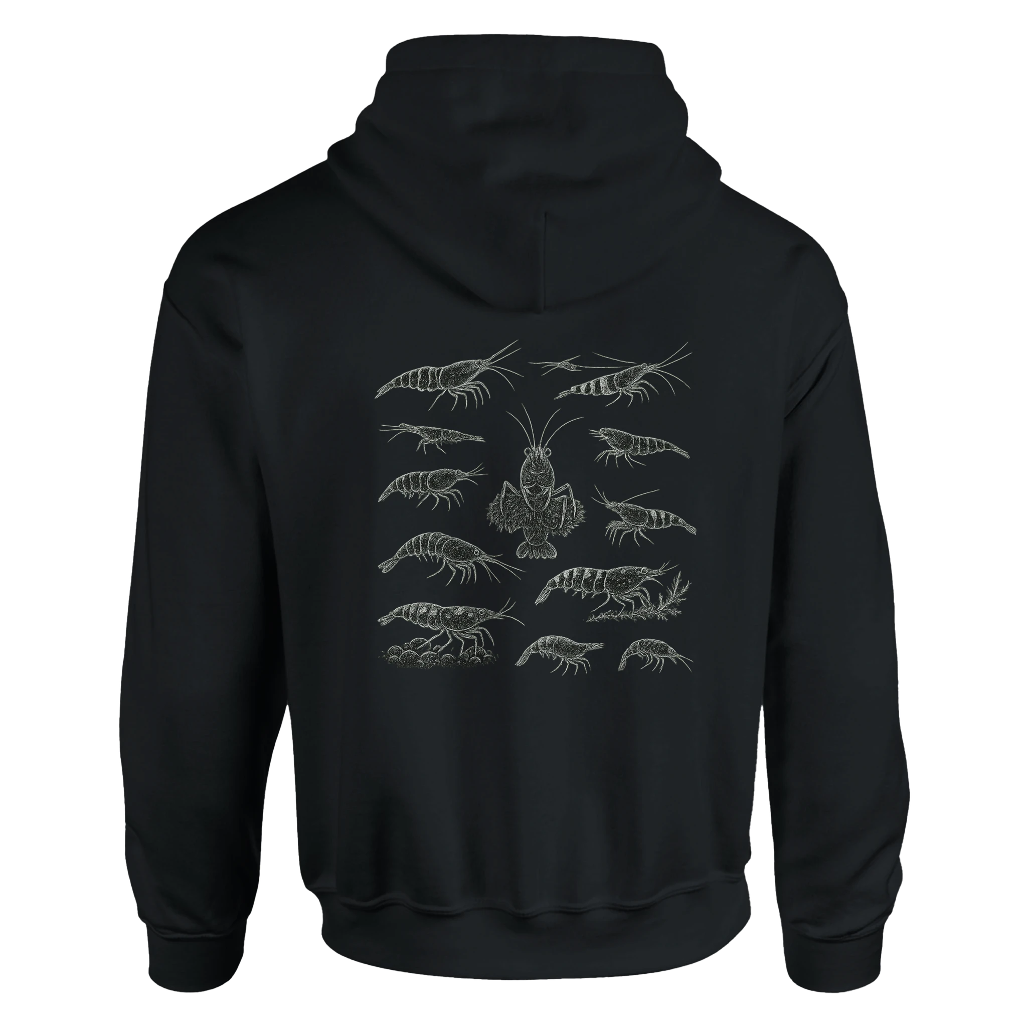 c19d5c24-1ac1-4c11-b225-03829100f60d