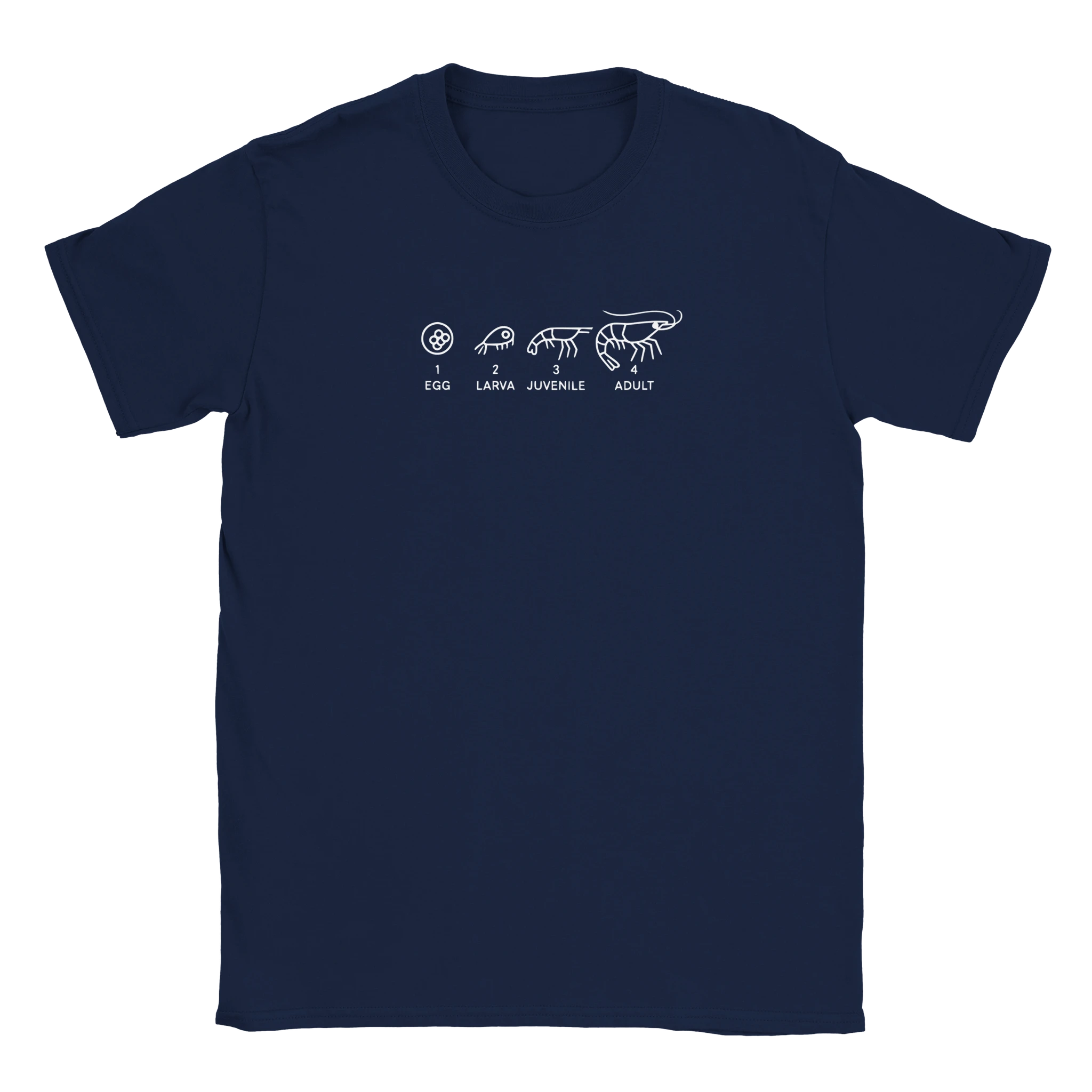 d106d89d-ed99-4b3e-bdde-1d812694aac2