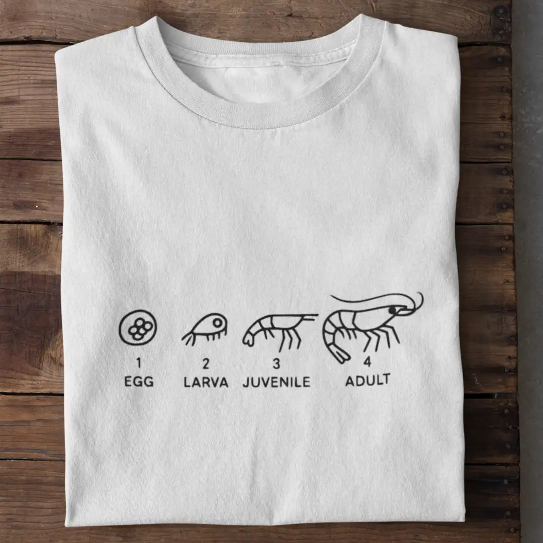 Life Cycle Shrimp - Shirt