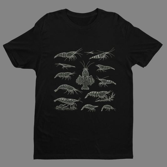 Shrimp Species Study – Shirt